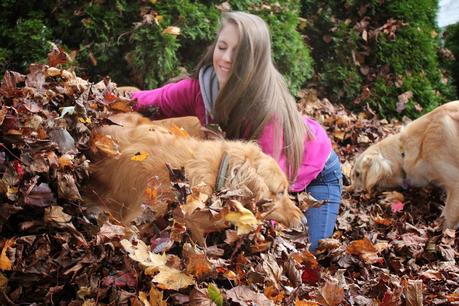 Mischief in the Leaves