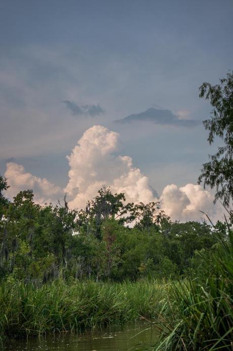 Pearl River Eco Tours 65 Low-res