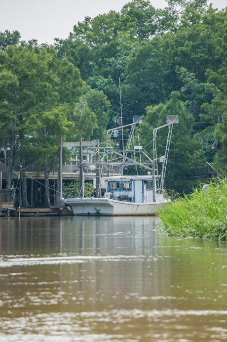 Pearl River Eco Tours 39 Low-res