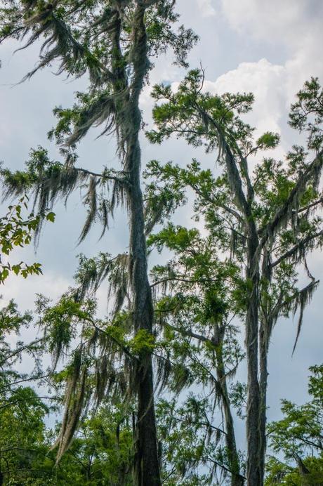 Pearl River Eco Tours 55 Low-res