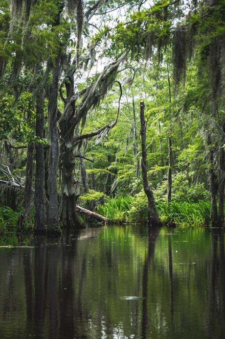 Pearl River Eco Tours 57 Low-res