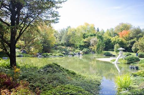 Relax in the Japanese Garden - Montreal Botanical Garden