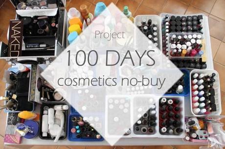 100 Days No-Buy Challenge + Post No-Buy Haul pt 1.
