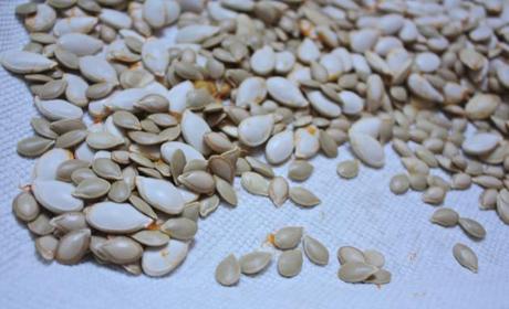 Roasted Squash Seeds: Spiced 3 Ways