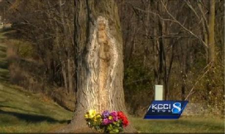 Image in a tree trunk mary in tree