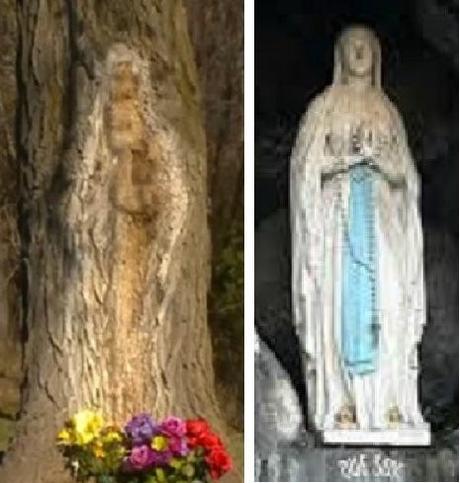 Image in a tree trunk mary in tree