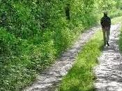 Kuch Ishq Kiya, Kaam Kiya