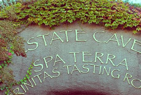 meritage resort and spa wine tasting {GBF Travel + Style | This Isn't The Catalina Wine Mixer}