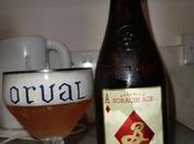 Tasting Notes: Brooklyn: Sorachi