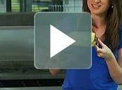 LCHF Australia’s Biggest Science Show!