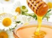 Career Medical Field, Temporary Missionary Position?