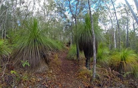 The Inaugural Blackall 100 – an Ultra hot way to see the Sunshine Coast!