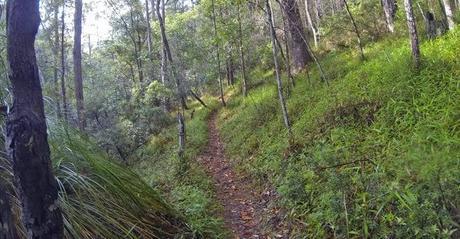 The Inaugural Blackall 100 – an Ultra hot way to see the Sunshine Coast!