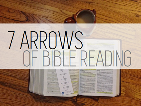 7 Arrows of Bible Reading