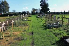 A Cemetery Walk