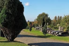 A Cemetery Walk