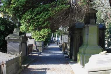 A Cemetery Walk