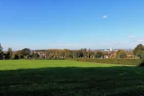A Cemetery Walk