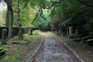 A Cemetery Walk
