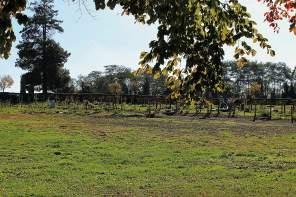 A Cemetery Walk