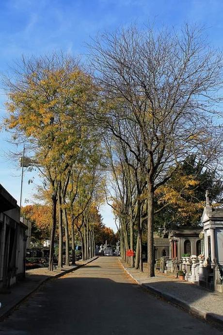 A Cemetery Walk