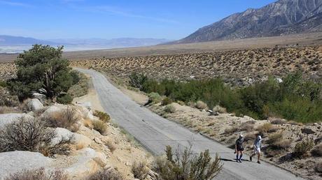 Badwater Ultramarathon Returning to Death Valley