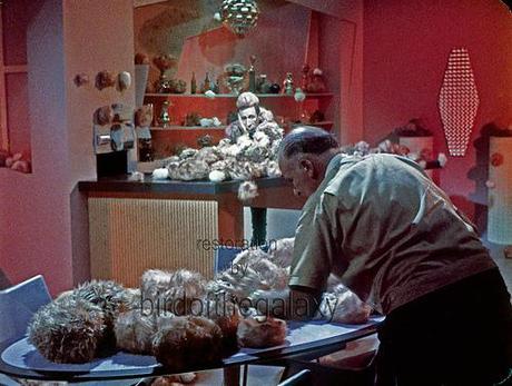 A Tribble Walks Into a Bar...