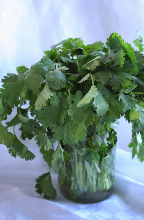 Cilantro Pineapple Smoothie -Detox Smoothie