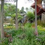 Trailfinders Australian Garden Kissed by the Sun