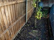 Tidying Clearing Down...