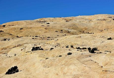 A Random Hike on a Reef