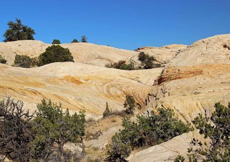 A Random Hike on a Reef