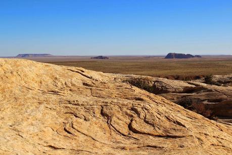 A Random Hike on a Reef