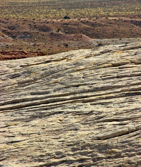 A Random Hike on a Reef