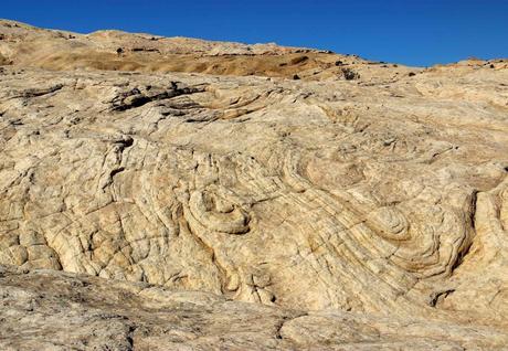 A Random Hike on a Reef