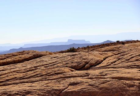 A Random Hike on a Reef