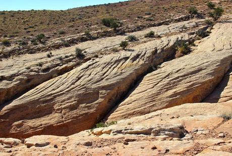 A Random Hike on a Reef