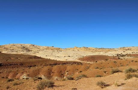 A Random Hike on a Reef