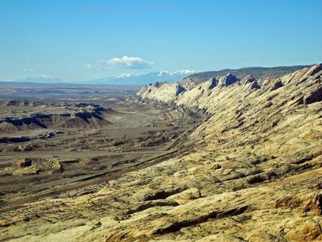A Random Hike on a Reef