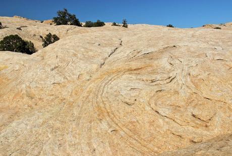 A Random Hike on a Reef