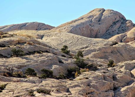 A Random Hike on a Reef