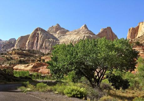 A Random Hike on a Reef