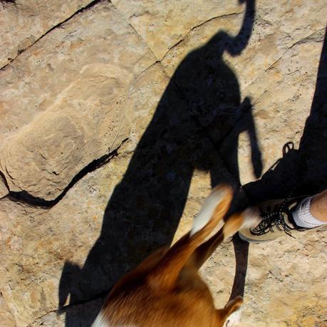 A Random Hike on a Reef