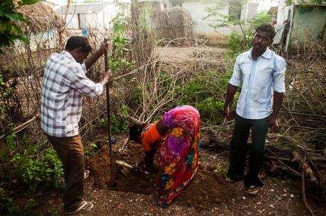 A Purpose germinated, A Tree Planted.