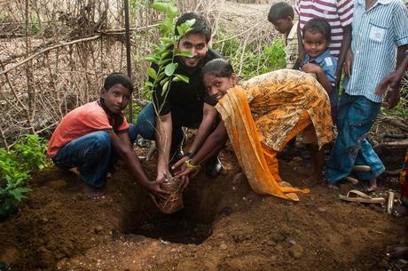 A Purpose germinated, A Tree Planted.