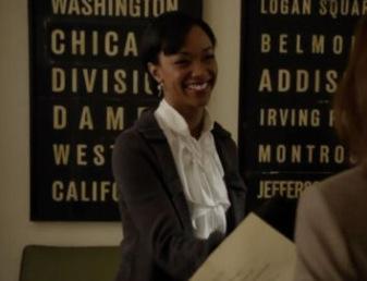 the good wife