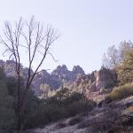 Pinnacles from the East