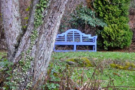 Sunshine and Shadow and Crows