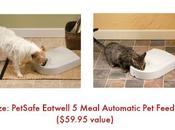 Enter PetSafe Feed Holiday Sweepstakes Ends 12/10