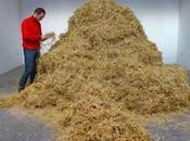Challenge Accepted: Artist Finds Needle Haystack, Literally